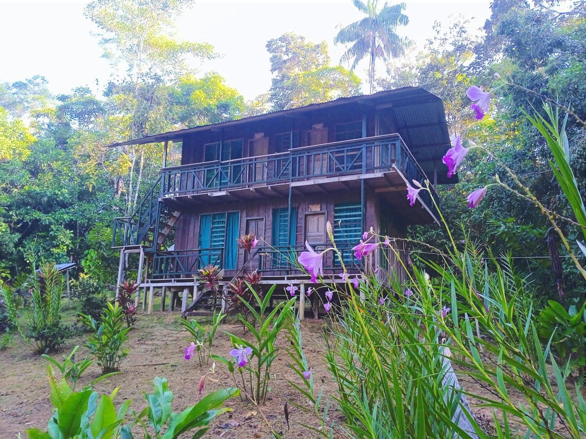 Cabanas Eco Logicas Mu'Ue Loreto Mocagua Extérieur photo