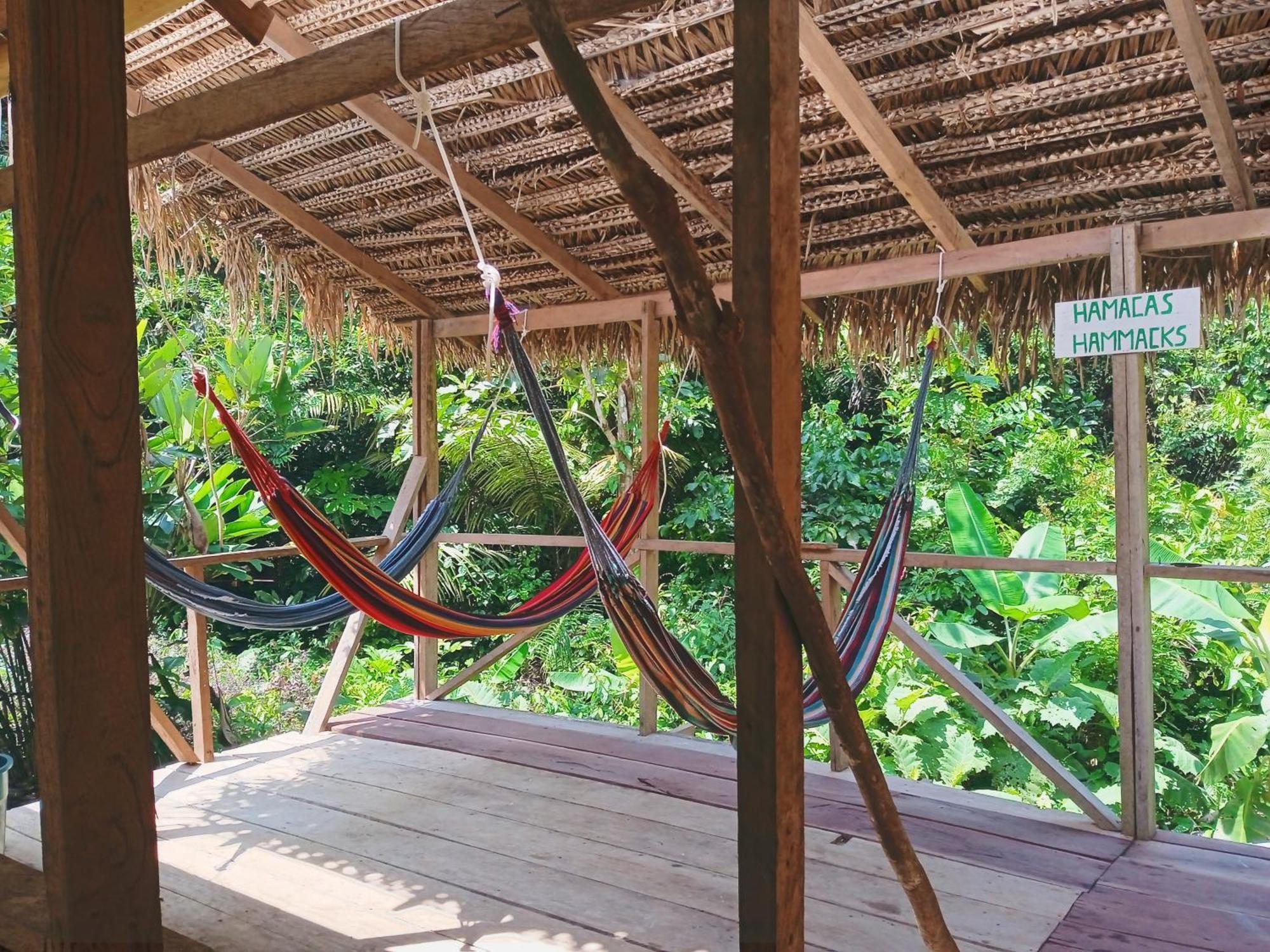 Cabanas Eco Logicas Mu'Ue Loreto Mocagua Extérieur photo