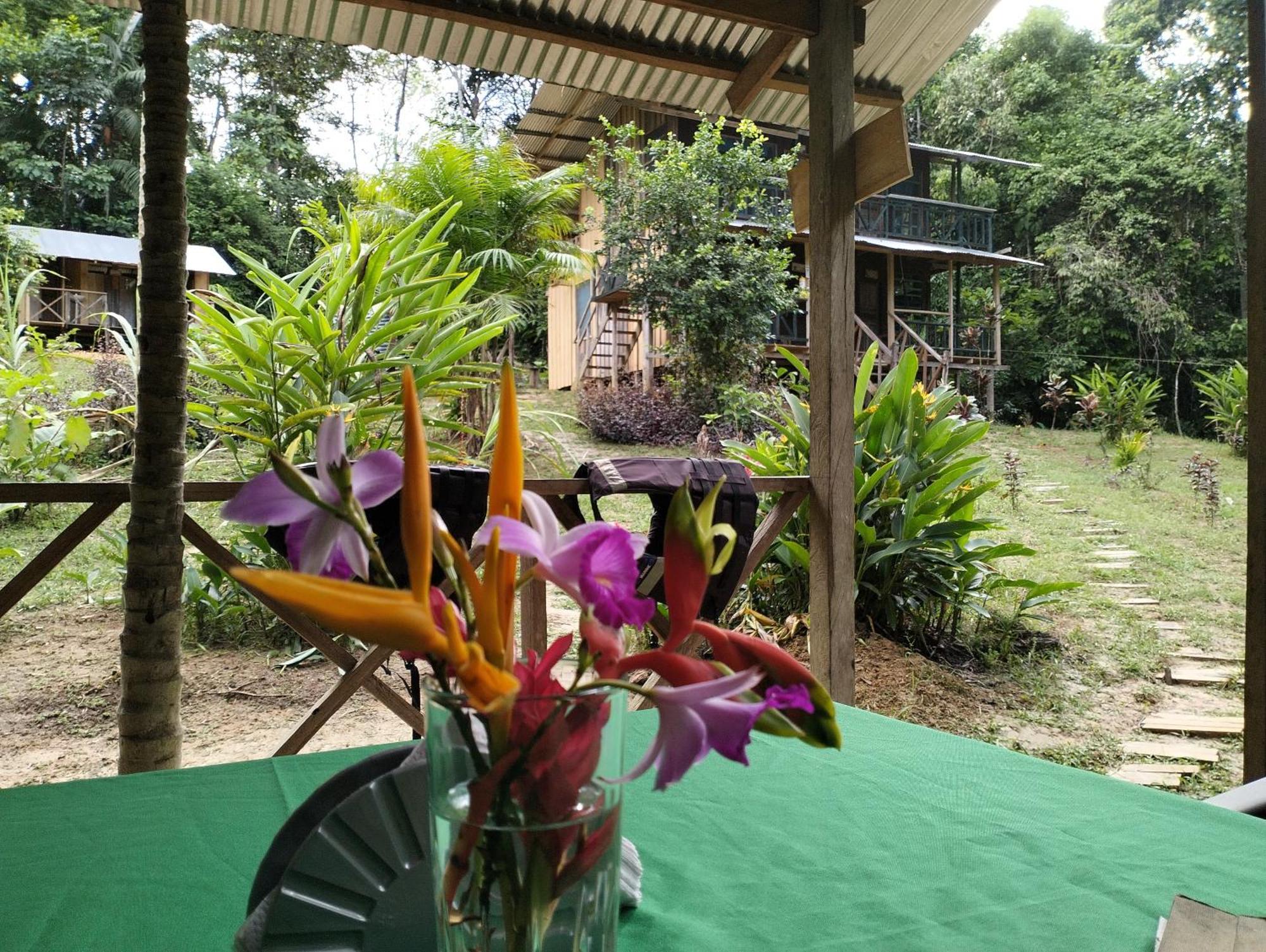 Cabanas Eco Logicas Mu'Ue Loreto Mocagua Extérieur photo
