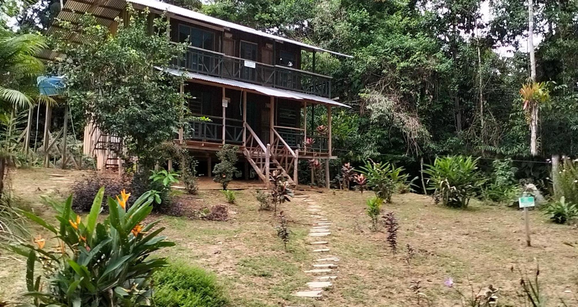 Cabanas Eco Logicas Mu'Ue Loreto Mocagua Extérieur photo